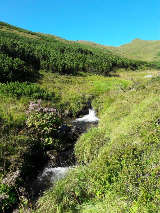 PusterwaldAlmland Huette别墅 外观 照片